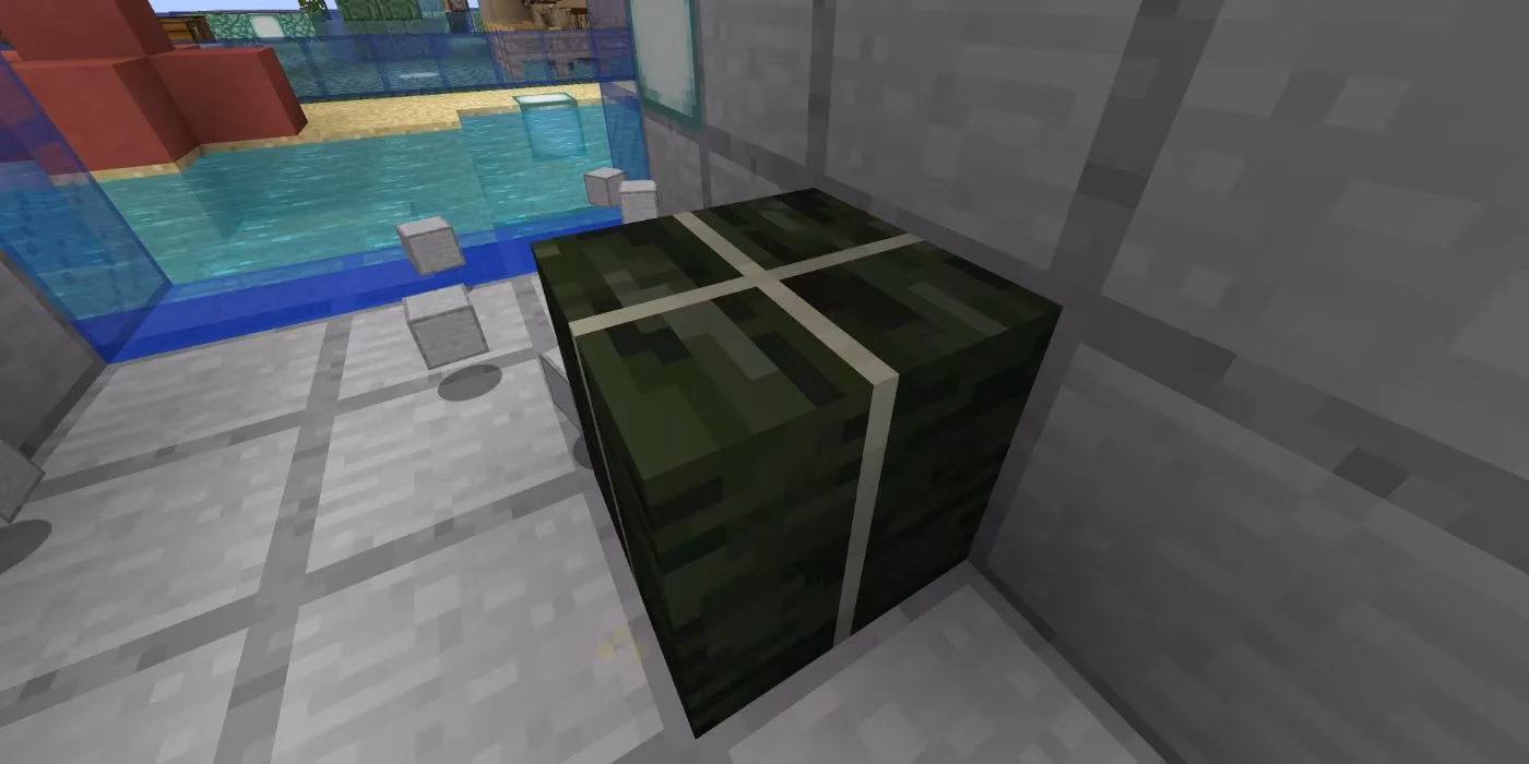 master-kelp-in-minecraft-7-clever-uses-for-this-underwater-plant-image-0